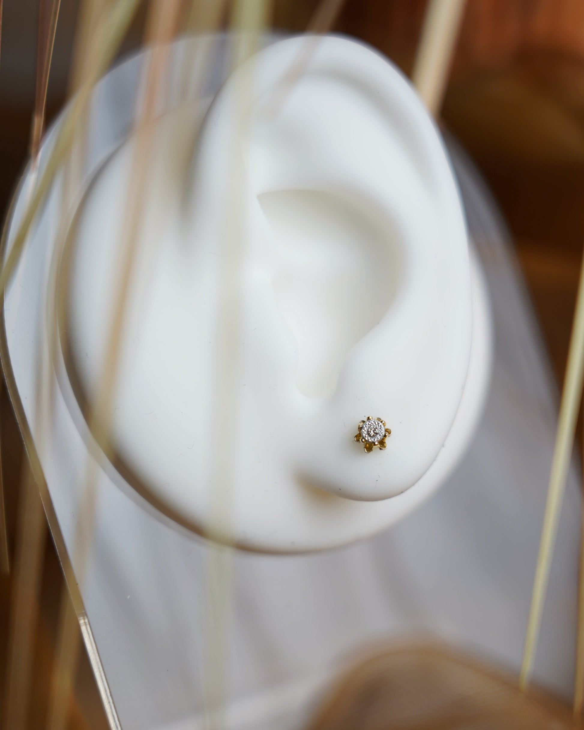 Golden Bloom Ohrstecker aus 585/- Gelbgold mit funkelndem Diamant in filigraner Krappenfassung.