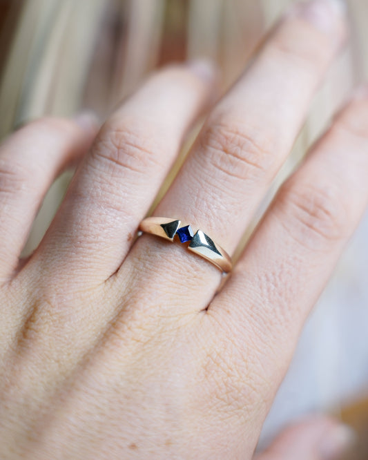 „Royal Point“ – Ring aus 333/- Gelbgold