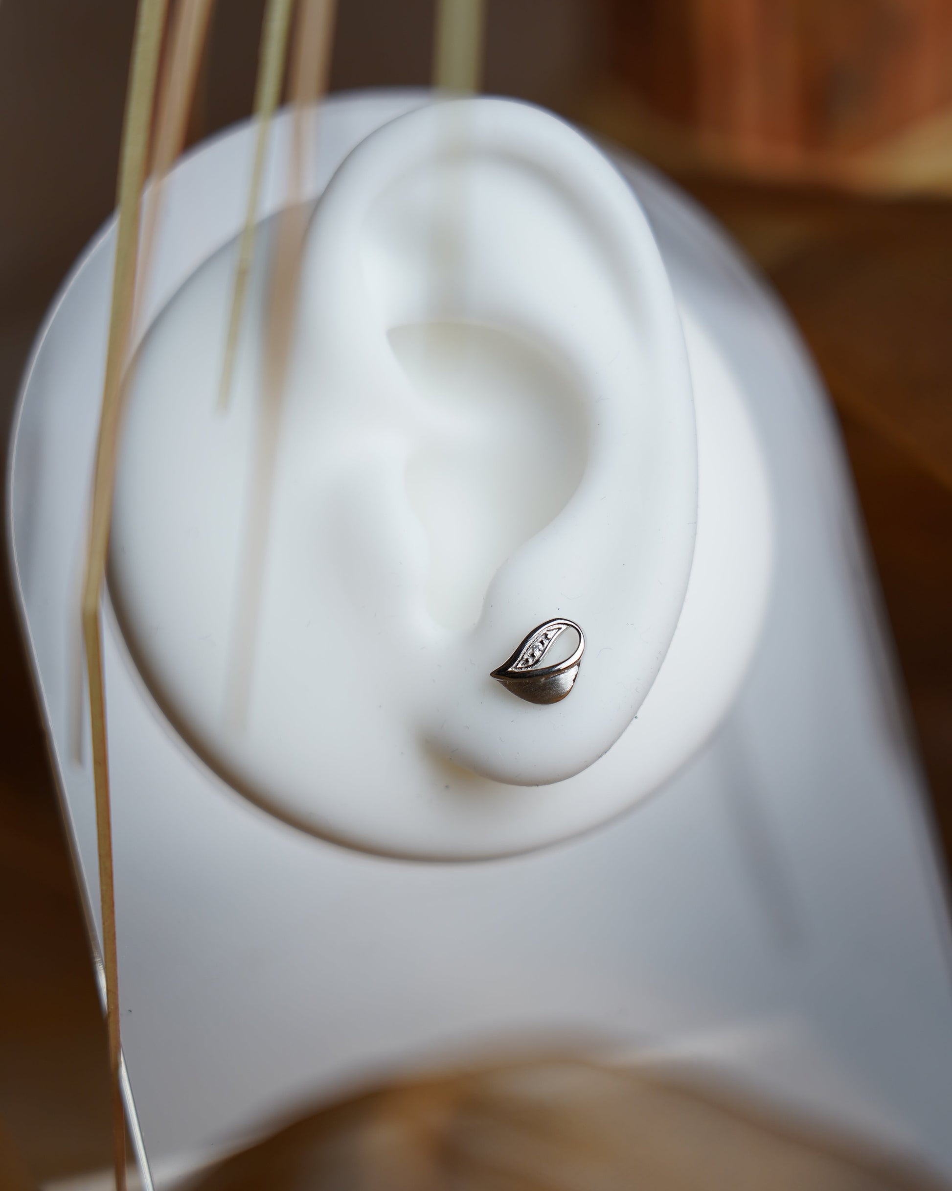 Silver Leaf Ohrstecker aus 925 Sterlingsilber mit Zirkoniasteinen an einem weißen Ohrdisplay
