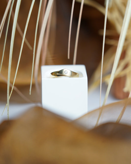 „Soft Curve“ – Ring aus 333/- Gelbgold mit Zirkoniastein
